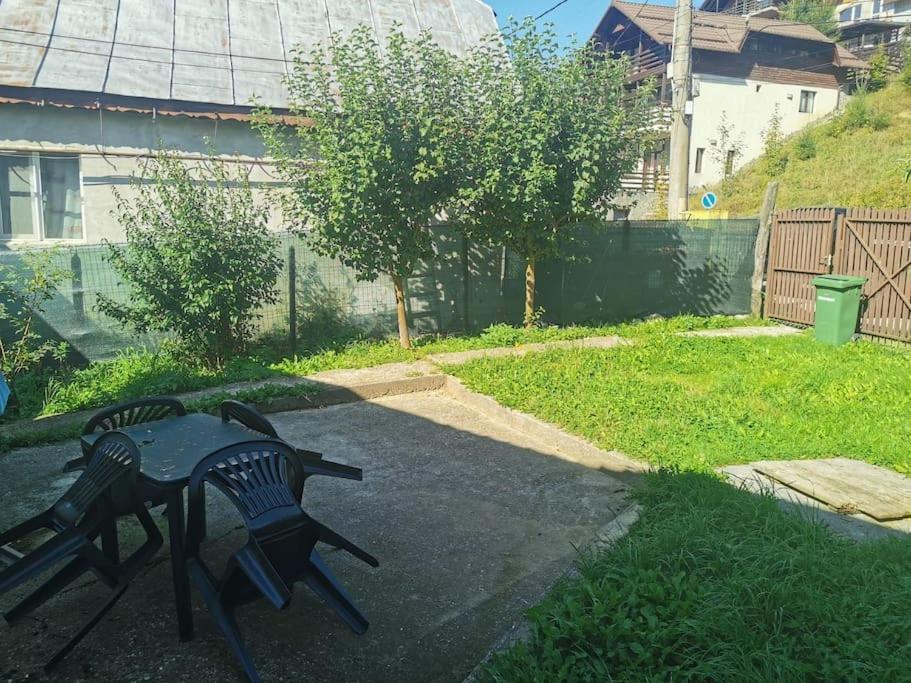 Vila Primitoare,Incalzire Centrala, Trei Dormitoare, Living, Baie Cu Cada Cu Hidromasaj, Bucatarie-Living Separata De Casa, Casuta De Gradina, Curte, Gratar Azuga Kültér fotó